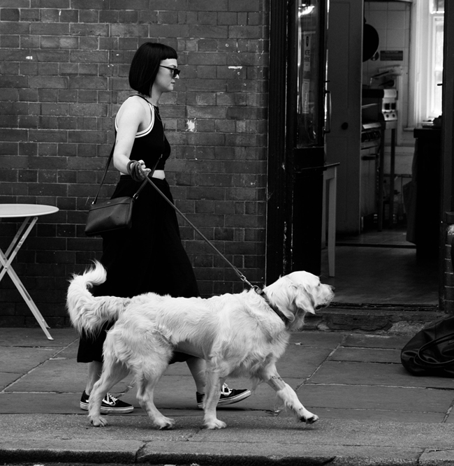 девушка гуляет с собакой